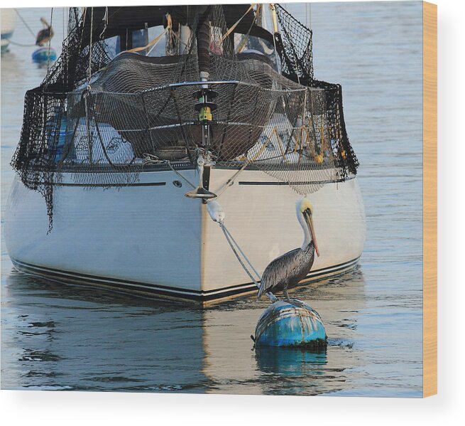 Boat Wood Print featuring the photograph Pelican Pose by Coby Cooper