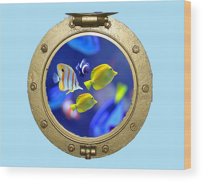 Porthole Wood Print featuring the photograph Porthole of fish by Allan Rothman