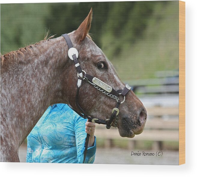 Horse Wood Print featuring the photograph Pretty Boy by Denise Romano