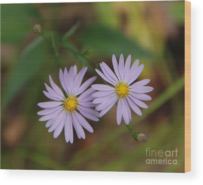 Flowers Wood Print featuring the photograph Purple Flowers by Grace Grogan