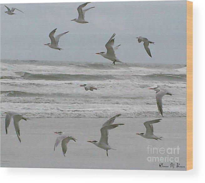 Beach Wood Print featuring the photograph Riding The Wind by Donna Brown