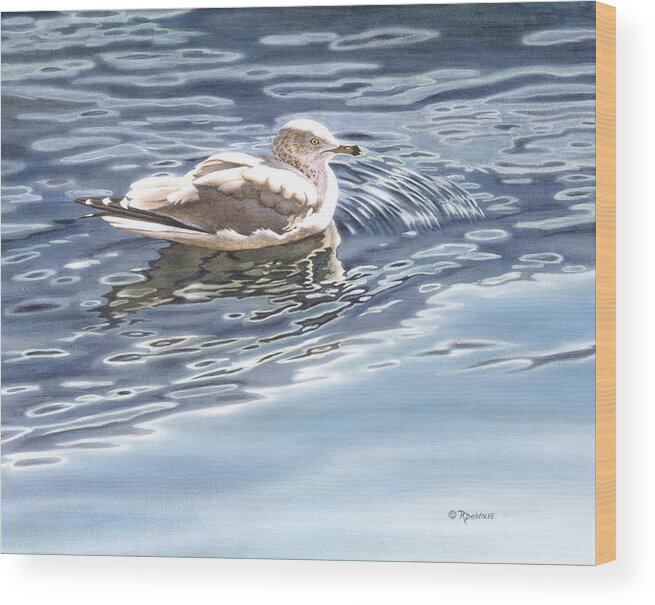 Sea Gull Wood Print featuring the painting Ringed Bill Gull by Richard De Wolfe