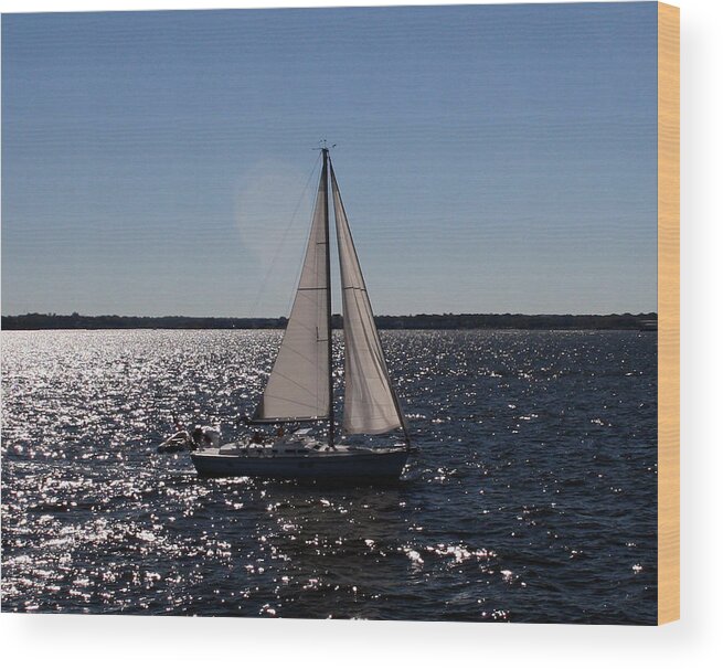 Baltimore Wood Print featuring the photograph Sailing on the Bay2 by Karen Harrison Brown