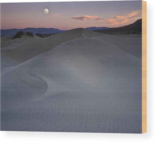Sand Dune Wood Print featuring the photograph Sand Dune and Moon Death Valley by Joe Palermo