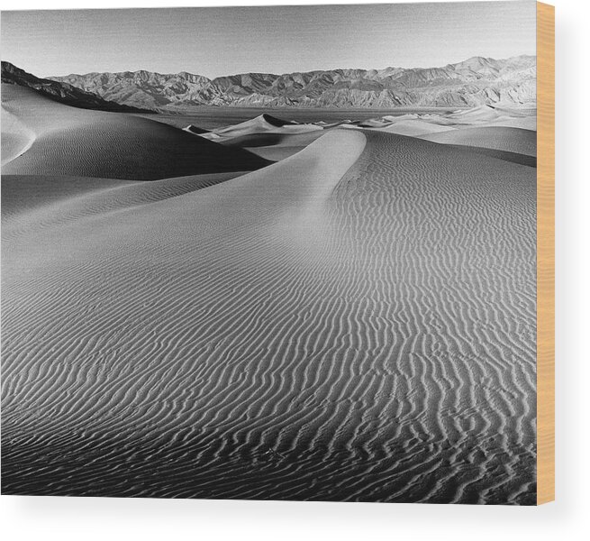 Sand Dune Wood Print featuring the photograph Sand Dune Death Valley by Joe Palermo