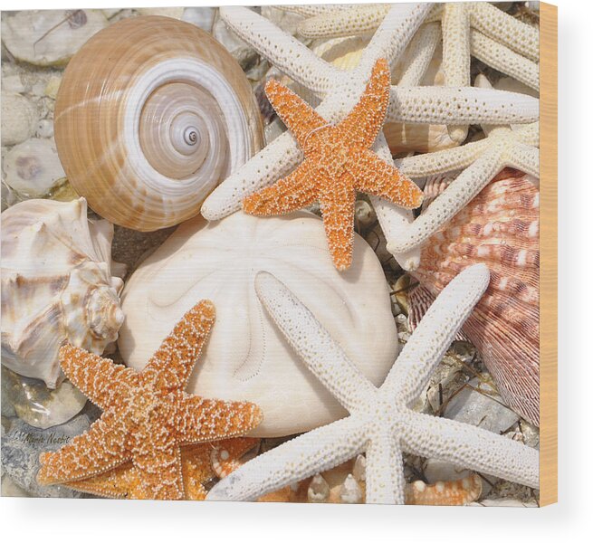 Sea Shells Wood Print featuring the photograph Shellebration by Maria Nesbit