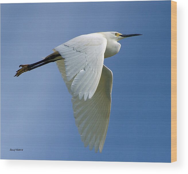 Snowy Egret Wood Print featuring the photograph Snowy Egret Fly-by by Stephen Johnson