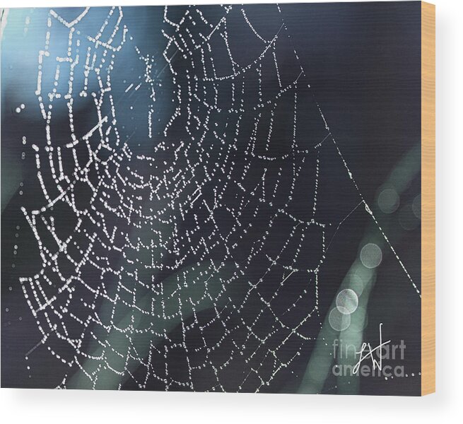 Spiderweb Wood Print featuring the photograph Spiderweb Blues by Artist and Photographer Laura Wrede