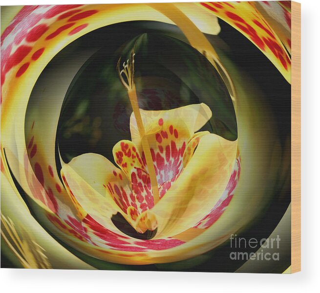 Flower Wood Print featuring the digital art Spotted Lily Energies by Smilin Eyes Treasures