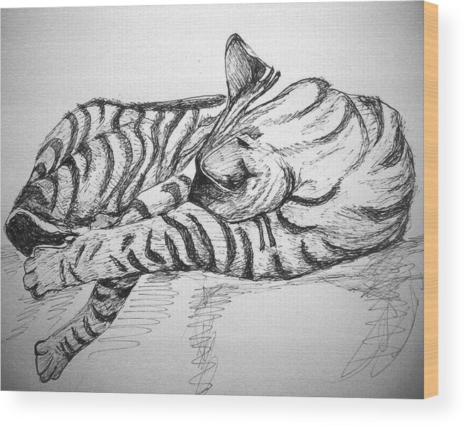 Pets Wood Print featuring the drawing Stripes by Mary Schiros