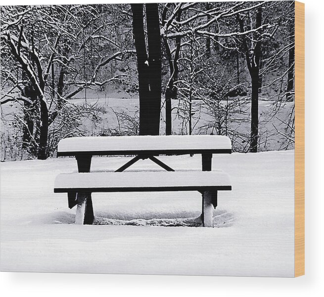 Snow Wood Print featuring the photograph Sunday Solitude by Donna Proctor