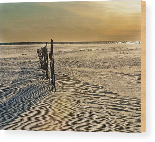 Beach Wood Print featuring the photograph Sunset at the beach by Roni Chastain