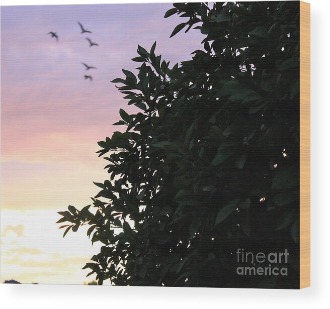 Canadian Geese Wood Print featuring the photograph Sunset Fly By by Pamela Walrath