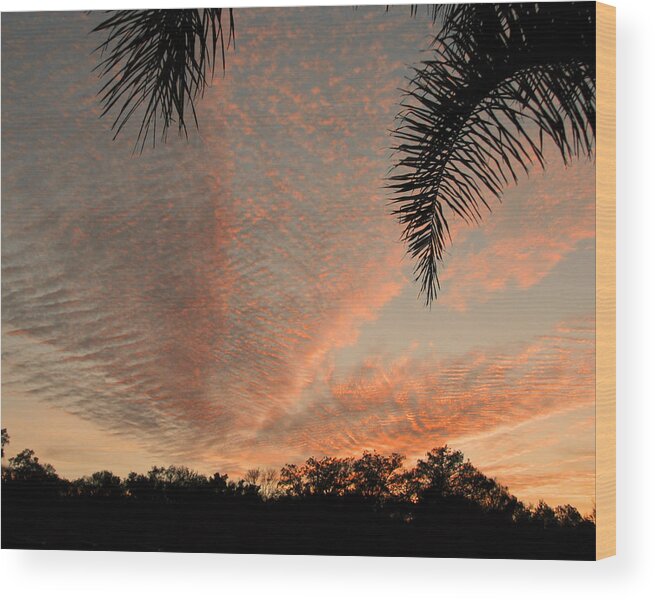 Nature Wood Print featuring the photograph Sunset in Lace by Peggy Urban