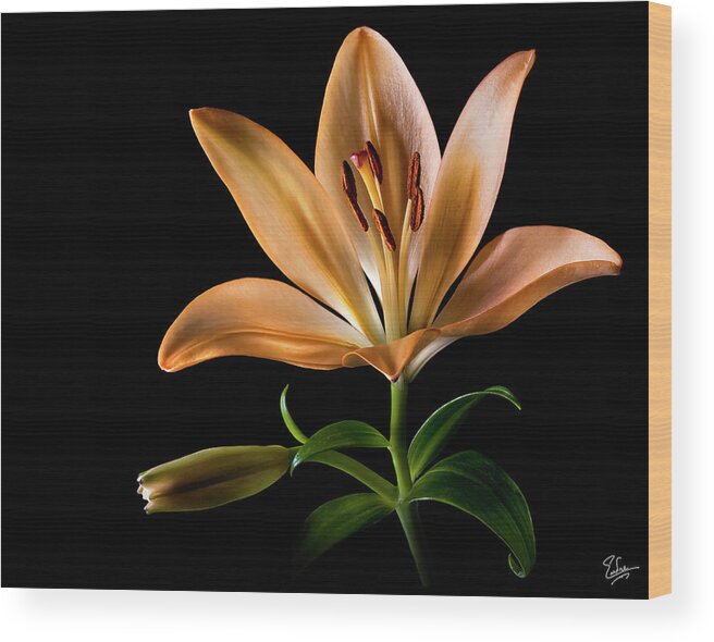 Flower Wood Print featuring the photograph Tiger Lily by Endre Balogh