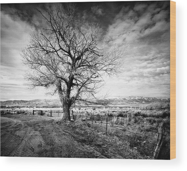 Landscape Wood Print featuring the photograph Turn Left at The Arrow by Joe Palermo