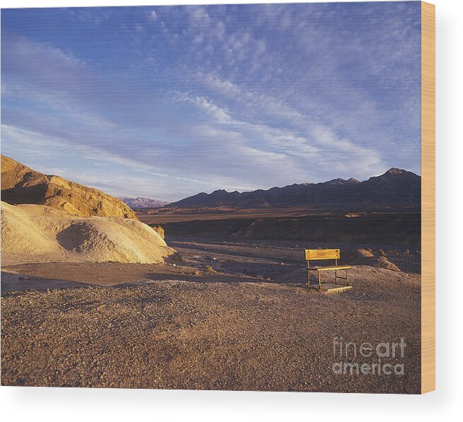Death Valley Wood Print featuring the photograph Waiting by Jim And Emily Bush