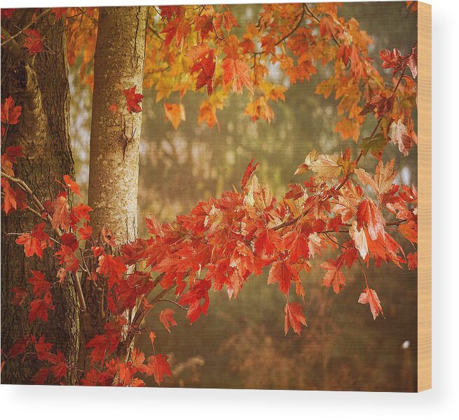 Autumn Wood Print featuring the photograph Autumns End by TnBackroadsPhotos