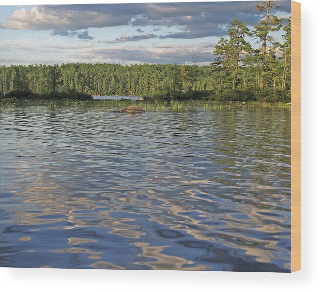 Water Wood Print featuring the digital art A Pristine Land #1 by Lynda Lehmann