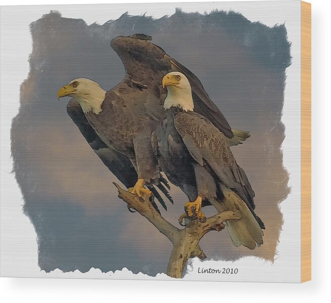 American Bald Eagle Wood Print featuring the digital art American Bald Eagle Pair #1 by Larry Linton