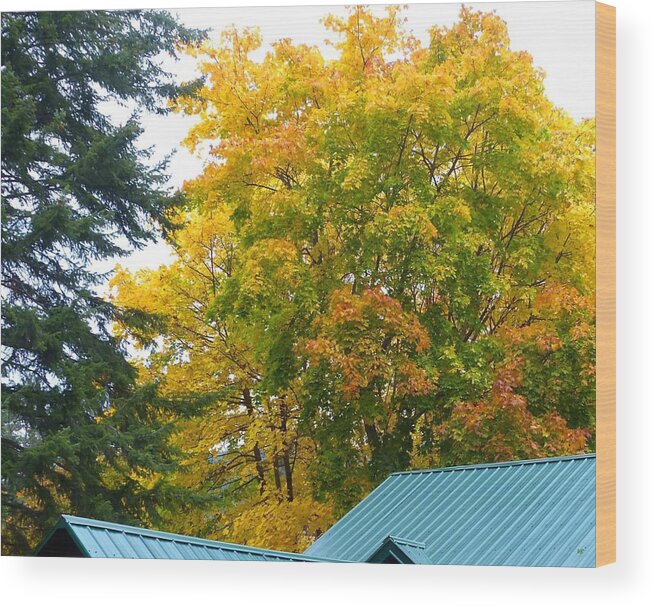 #autumninoyama Wood Print featuring the photograph Autumn In Oyama #1 by Will Borden