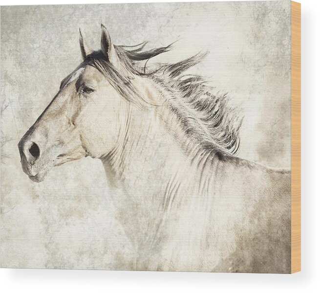 Equine Wood Print featuring the photograph Bolero #1 by Ron McGinnis