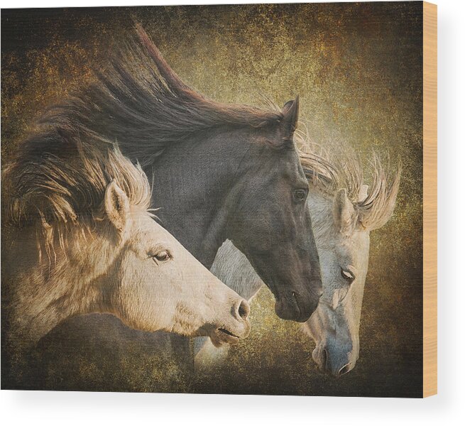 Equine Wood Print featuring the photograph Brings the Thunder #1 by Ron McGinnis