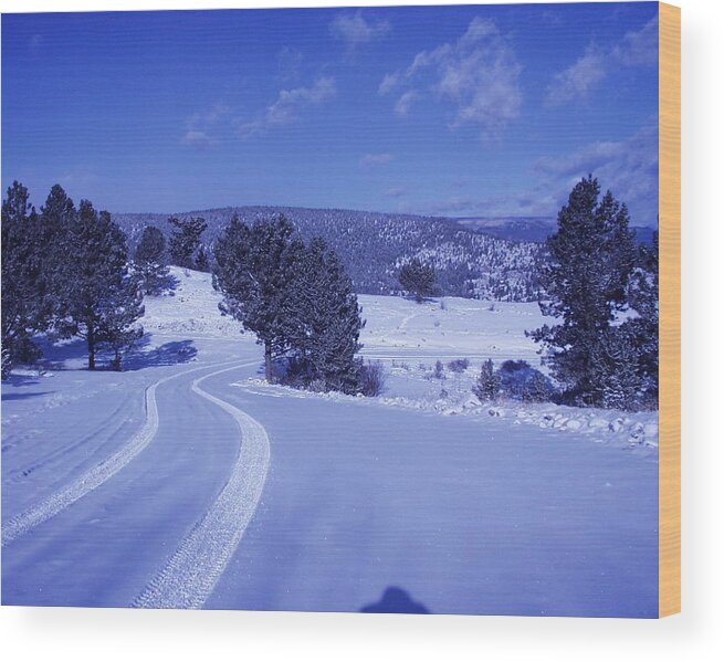 Rocky Mountain Snow Wood Print featuring the photograph Colorado Winter #1 by Bill Hyde