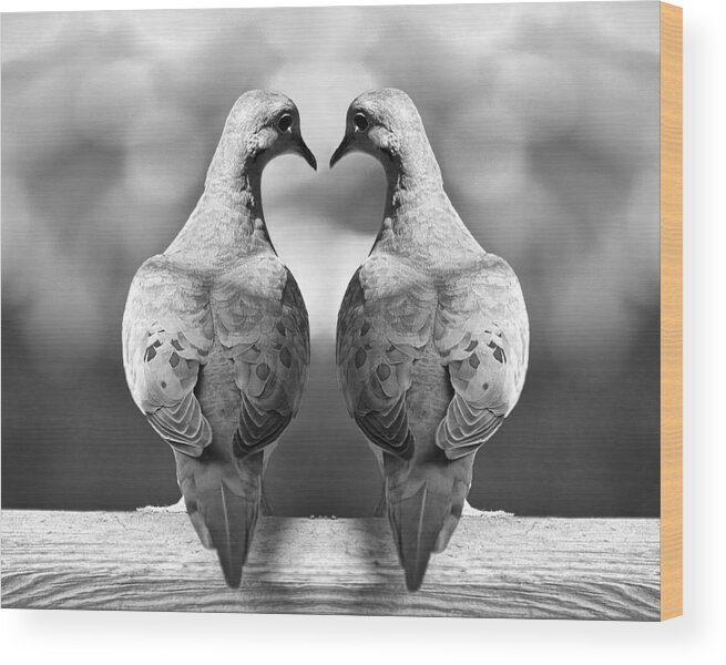 Art Wood Print featuring the photograph Dove Birds #1 by Randall Nyhof