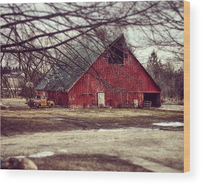 Barn Wood Print featuring the photograph Dreaming of Spring #1 by Julie Hamilton