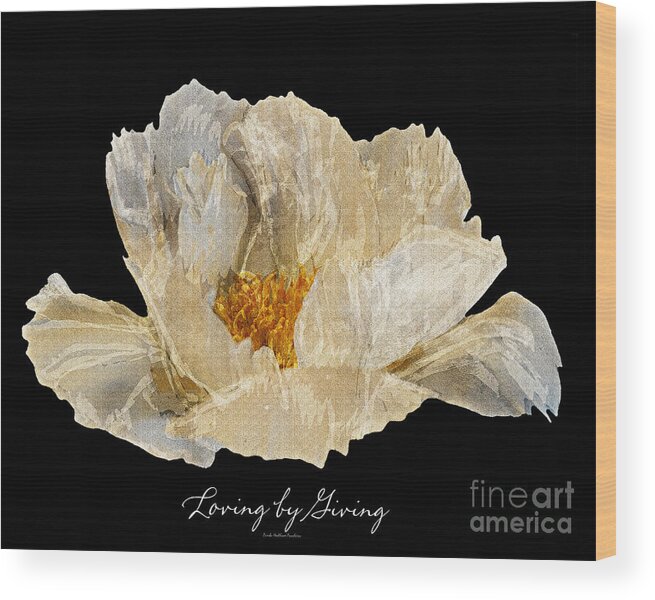 Diane Berry Wood Print featuring the photograph Paper Peony #1 by Diane E Berry
