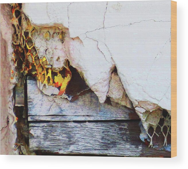 Peeling Paint Wood Print featuring the photograph Peel #1 by Jessica Levant