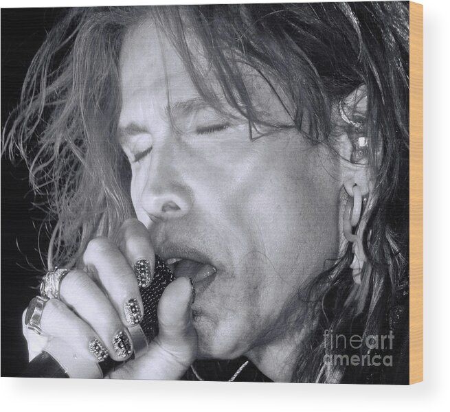 Joe Perry Wood Print featuring the photograph Steven #2 by Traci Cottingham