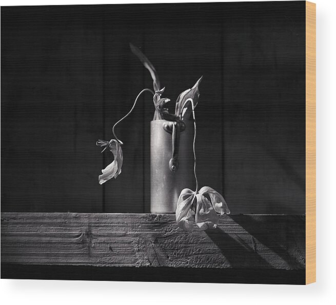 Still Life Wood Print featuring the photograph Still Life with Tulip #1 by Nailia Schwarz