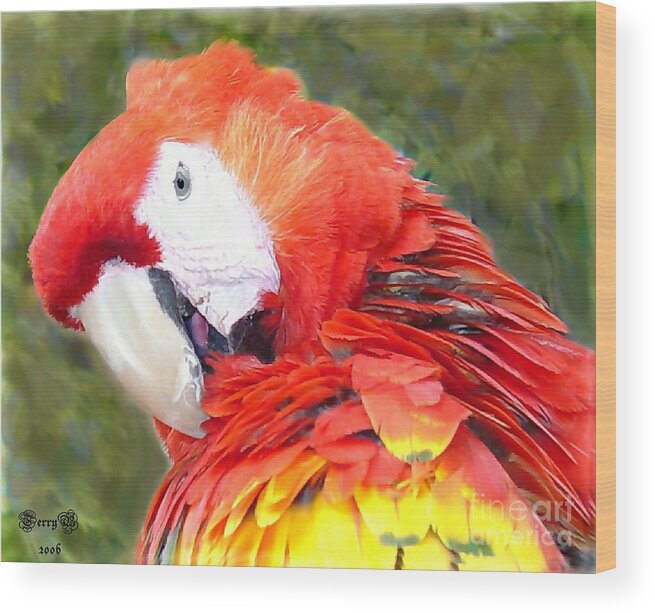 Bird Wood Print featuring the photograph Parrot #2 by Terry Burgess