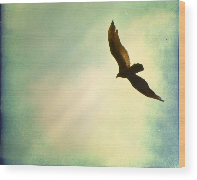 Soaring Bird Wood Print featuring the photograph Soaring #2 by Amy Tyler