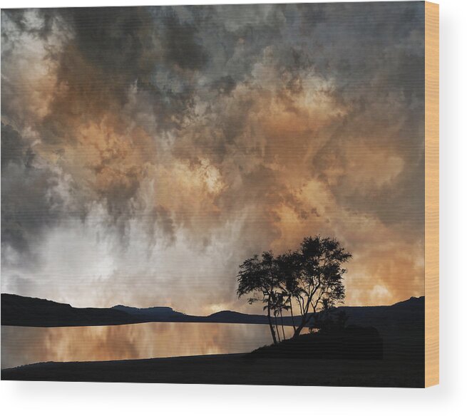 Trees Wood Print featuring the photograph 4056 by Peter Holme III