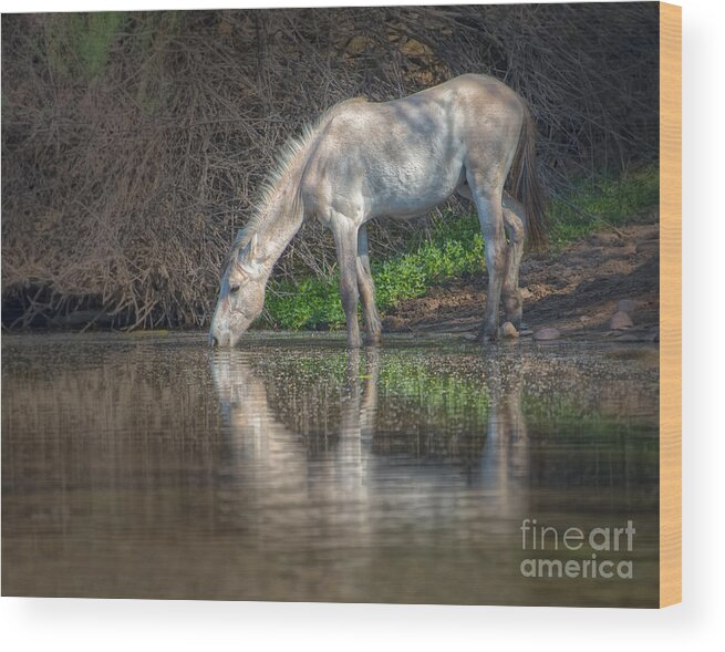 Horse Wood Print featuring the photograph A Drink at the River by Lisa Manifold