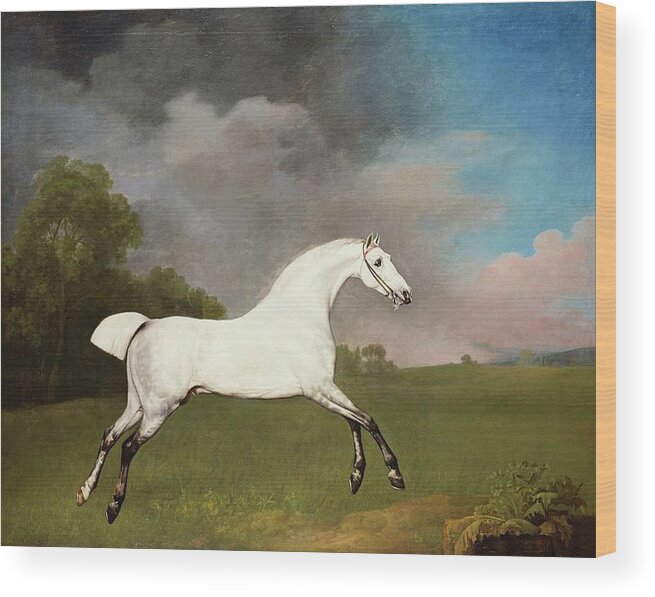 George Stubbs (1724-1806) A Grey Horse Signed And Dated 1793 Wood Print featuring the painting A Grey Horse by George Stubbs