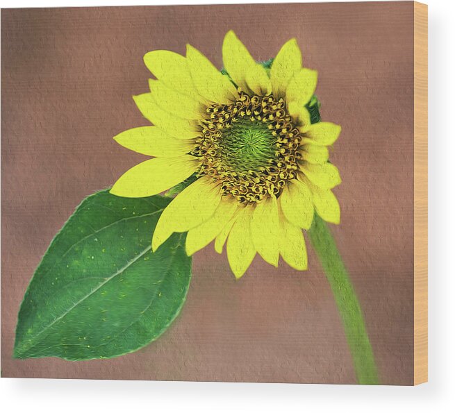 Sunflower Wood Print featuring the photograph A Little Lean by Art Cole