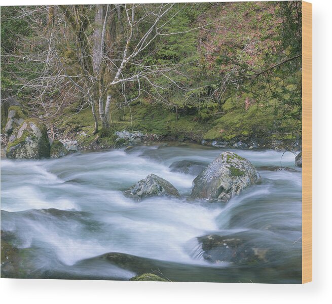Opal Creek Wood Print featuring the photograph A River Runs Through It by Catherine Avilez
