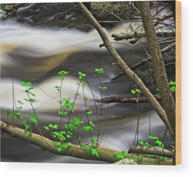 Waterfall Wood Print featuring the photograph A Subtle But Powerful Background by Allan Van Gasbeck