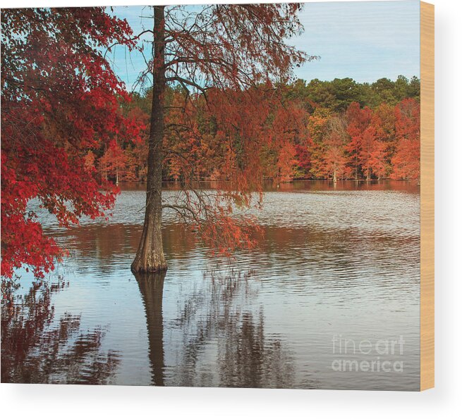 Trap Pond Wood Print featuring the photograph October Color by Robert Pilkington