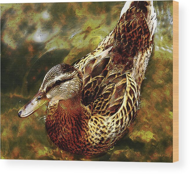 Duck Wood Print featuring the photograph Afternoon Swim Card GOLD by Lesa Fine