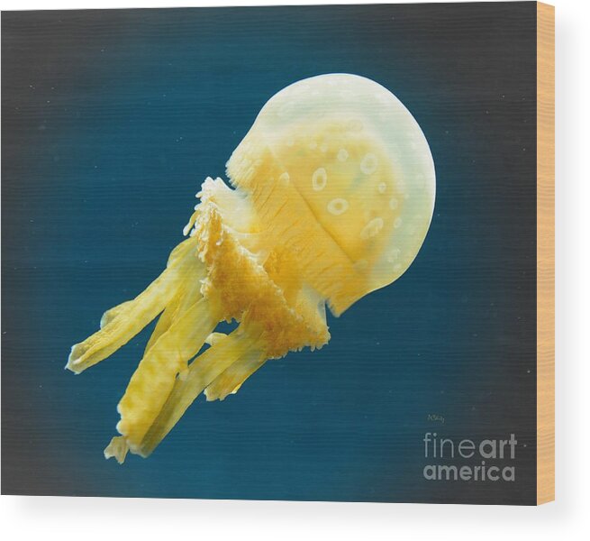Alien Jelly Wood Print featuring the photograph Alien Jelly by Patrick Witz