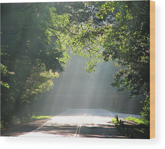 Road Wood Print featuring the photograph Along the Road of Life by Ted Keller