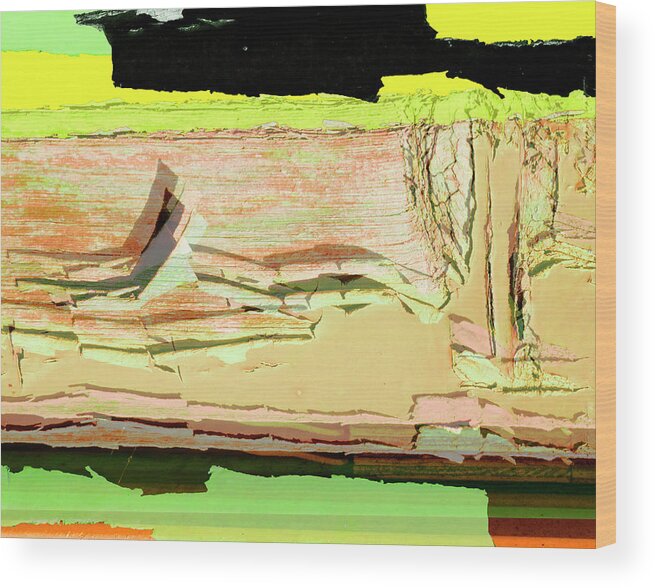 Abstract Wood Print featuring the photograph Arroyo by Jessica Levant