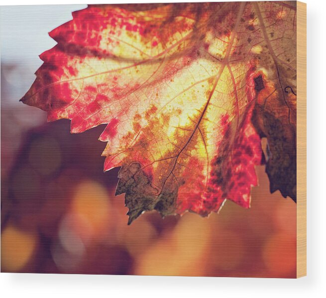 Nature Wood Print featuring the photograph Autumn Fire by Melanie Alexandra Price