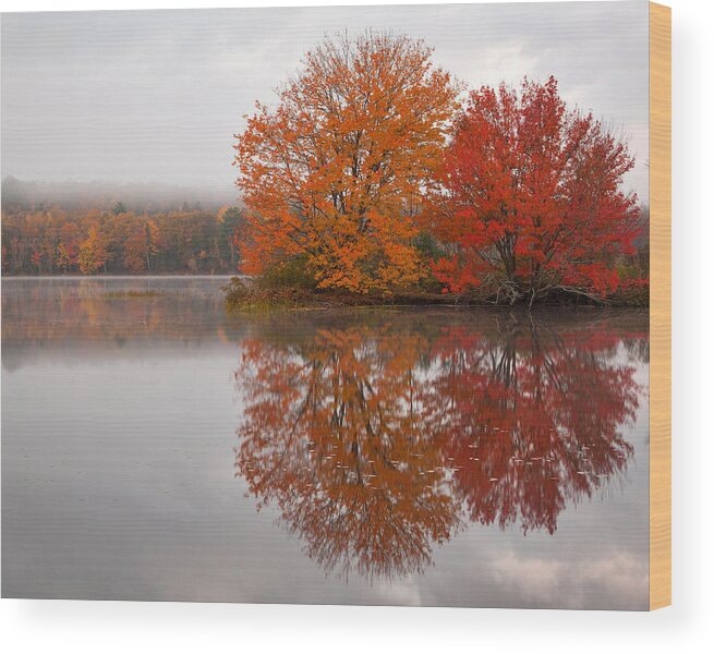 Maine Wood Print featuring the photograph Autumn Pond by Patrick Downey