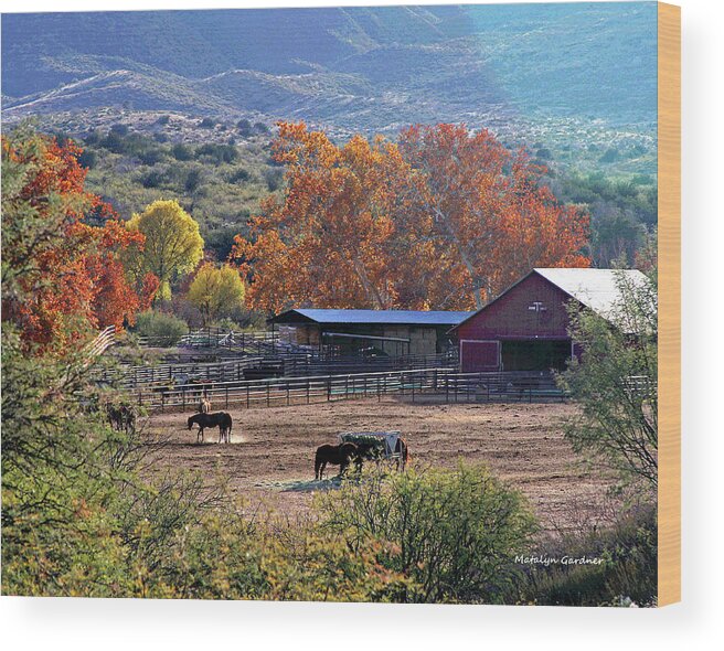 Ranch Wood Print featuring the photograph Autumn Ranch by Matalyn Gardner